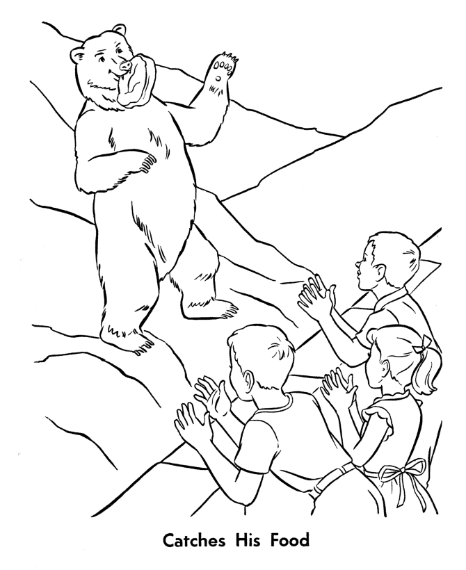 Zoo animal coloring page | Feeding the Bears