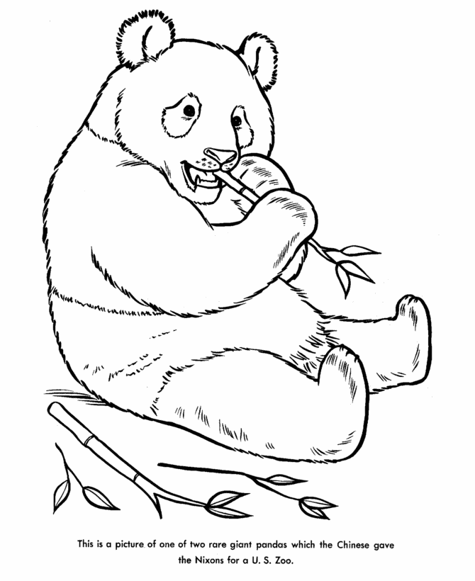 Zoo Animal Coloring Pages | Panda Bear Coloring Page and ...
