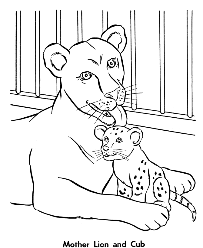 Zoo animal coloring page | Female Lion and her Cub