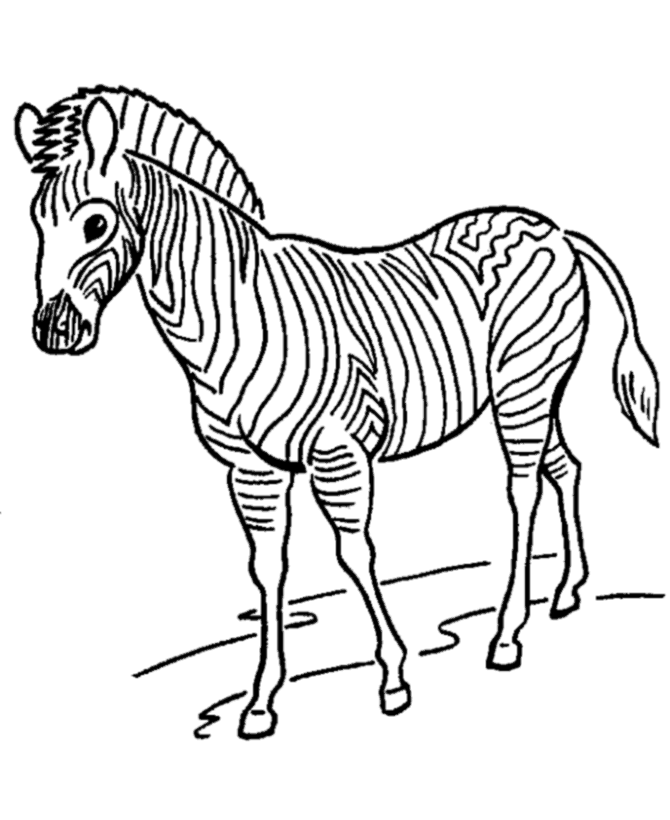 Zoo Animal Coloring Pages | Zoo Zebras Coloring Page and ...