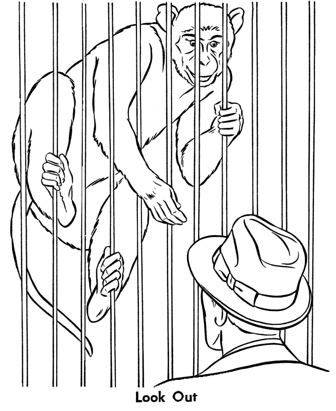Zoo animal coloring page | Monkey stealing a hat