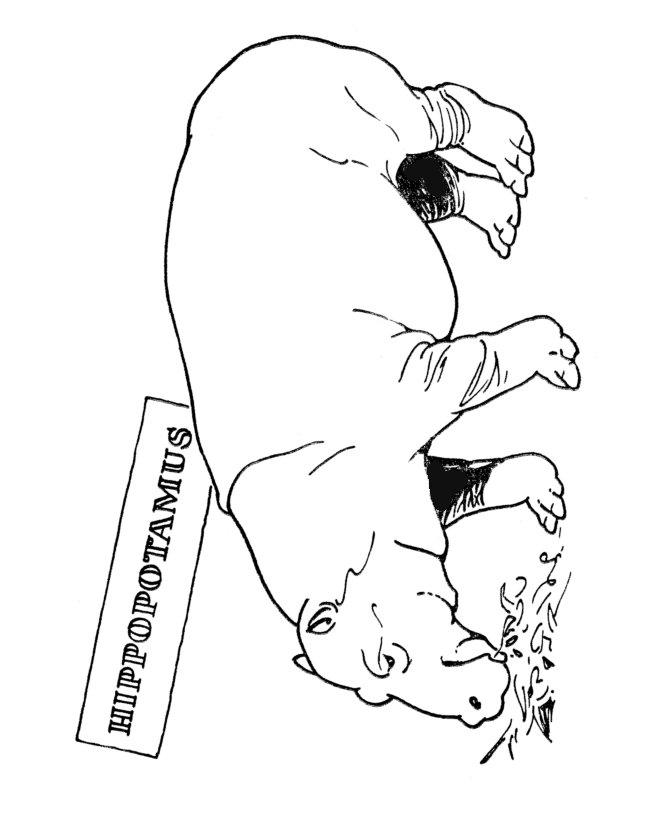 Zoo animal coloring page | Hippopotamus Exhibit