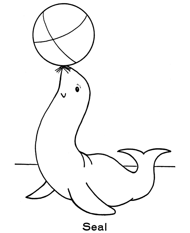 Zoo animal coloring page | Seal Exhibit