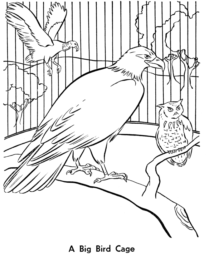 Zoo Birds coloring page | Aviary bird cage