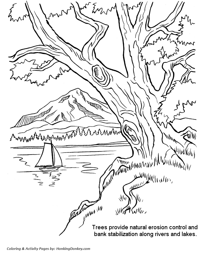 Arbor Day Coloring Pages - Riverbank trees