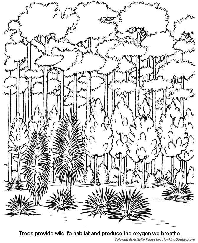 Arbor Day Coloring Pages - Forest trees