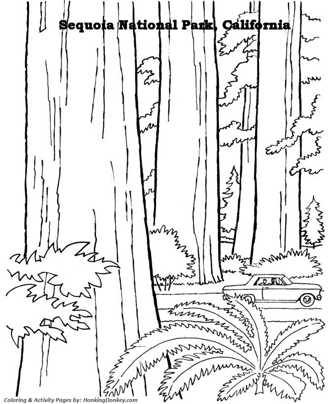 Arbor Day Coloring Pages - Sequoia National Park