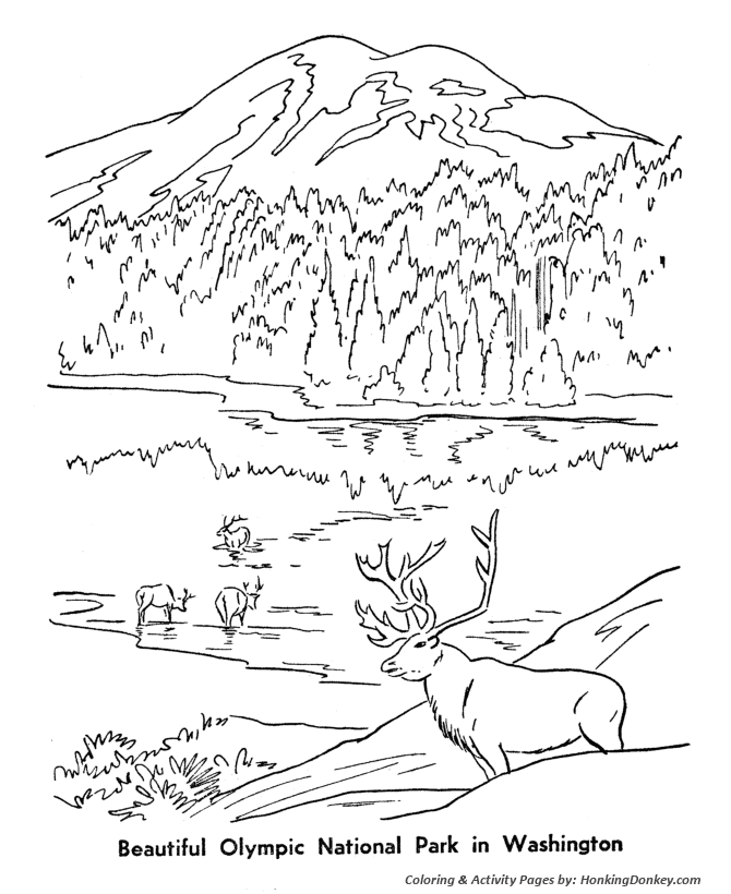 Arbor Day Coloring Pages - Olympic National Park