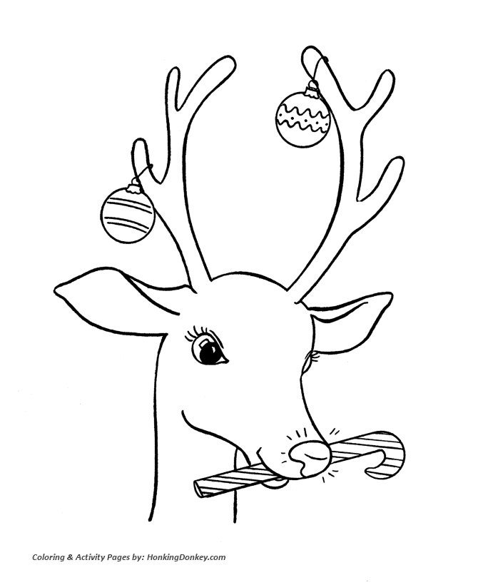 Christmas Decorations on Santa's Reindeer