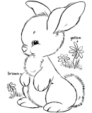 Easter Bunny Coloring Pages - xxx 