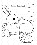 Easter Bunny Coloring Page Sheet - xxx 