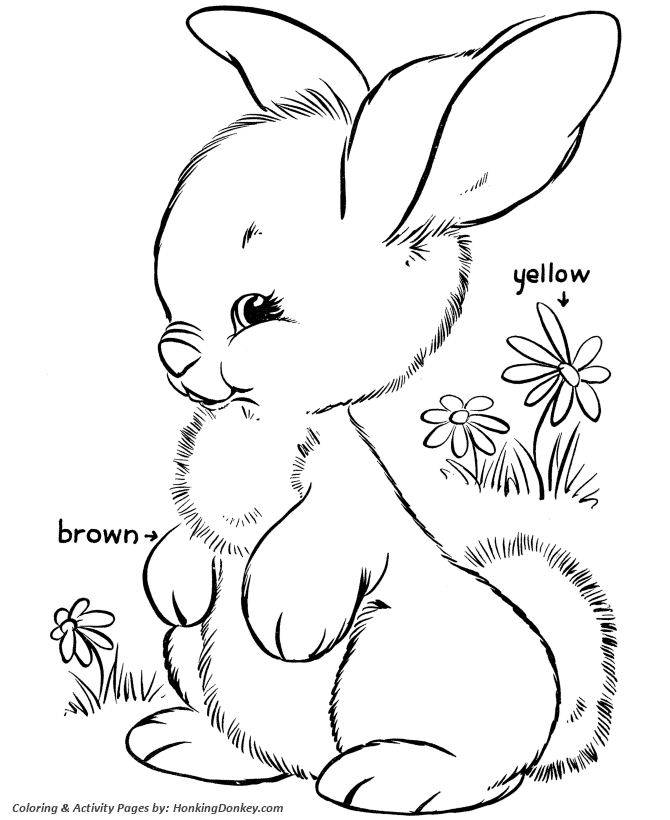 Fluffy Easter Bunny - Easter Bunny Coloring Pages