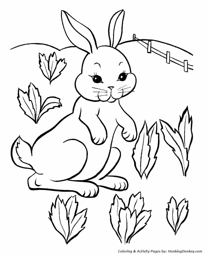 Easter Bunny Coloring Pages - Easter Farm Bunny 