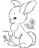 Easter Bunny Coloring Pages