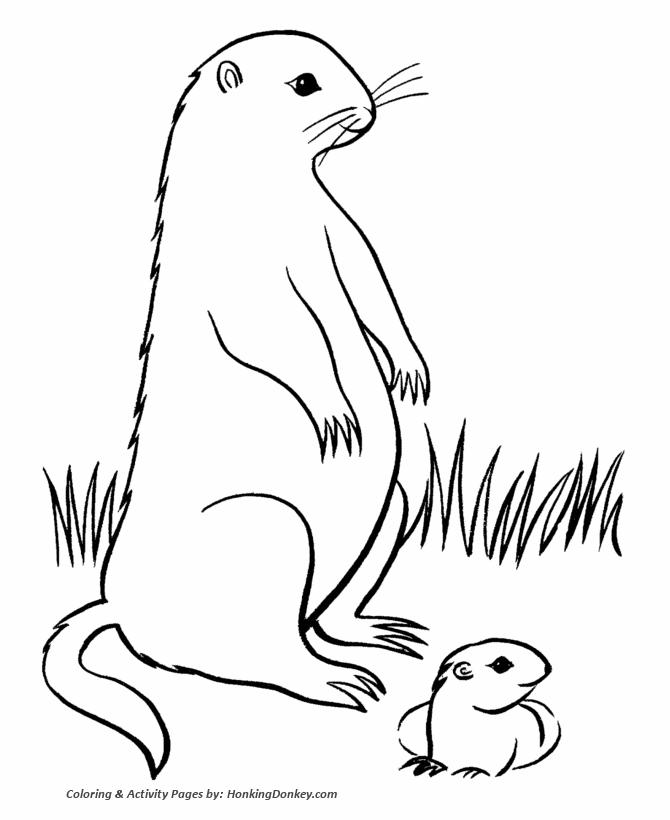 Groundhog Day Coloring Pages - Groundhog mother and pup