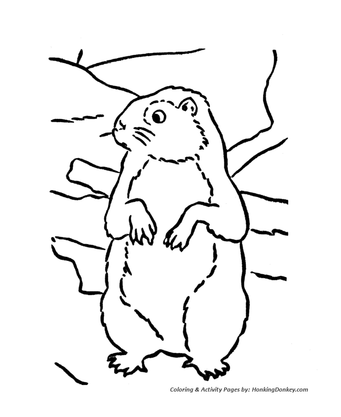 Groundhog Day Coloring Pages - Groundhog looking for his shadow