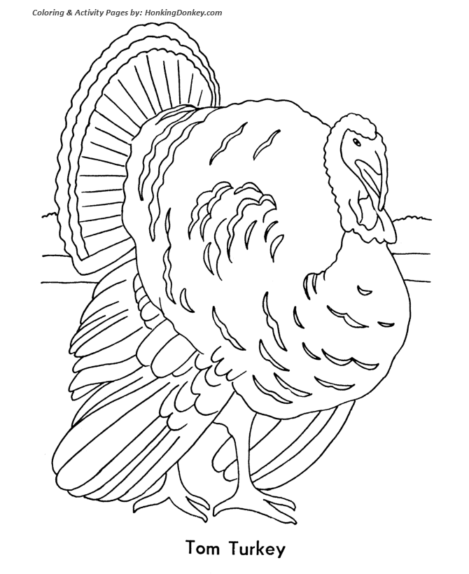 Tom Turkey - Thanksgiving Day Coloring Pages