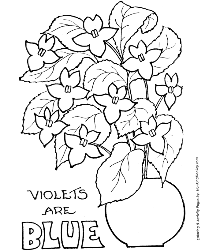 Valentine's Flowers Coloring Pages - Violets are Blue