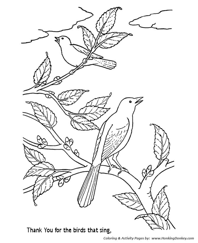 Church Bible Lesson Coloring Activity Sheets | Thank You for the birds that sing