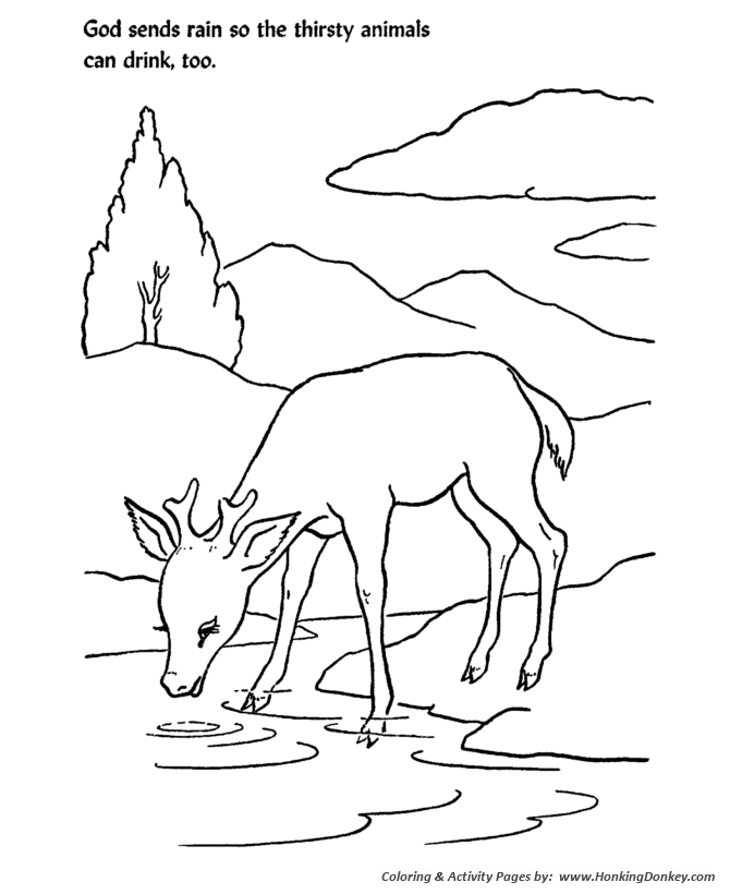 Bible Lesson Coloring Page Sheets - Sunday School Lesson sheets - God sends  rain for animals to drink | HonkingDonkey
