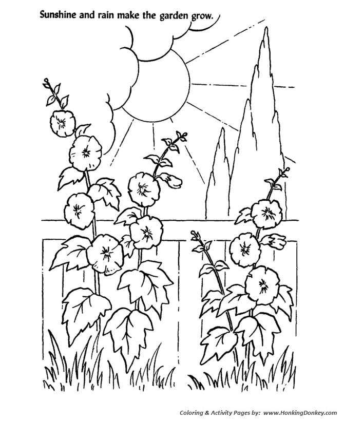 Church Bible Lesson Coloring Activity Sheets | Sunshine and Rain make the garden grow