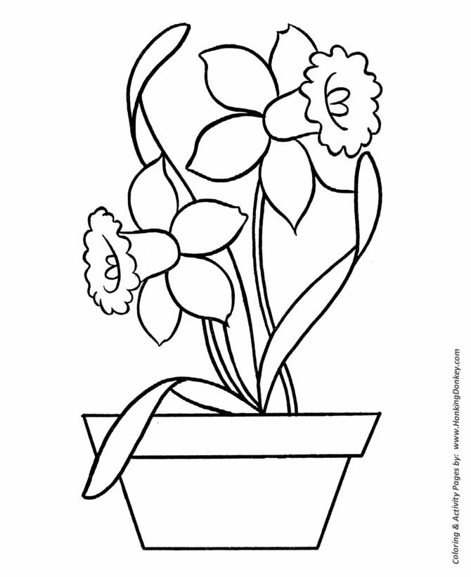 Easy Coloring Pages | Free Printable Daffodils in Pot Easy Coloring