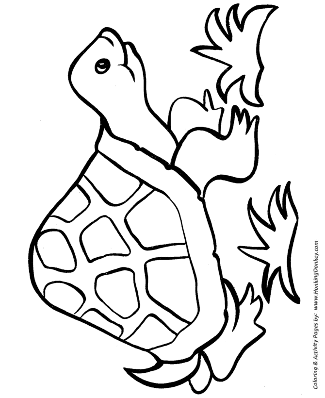 Easy Shapes Coloring pages | Happy Turtle