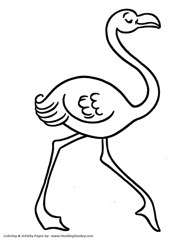 flamingo colouring