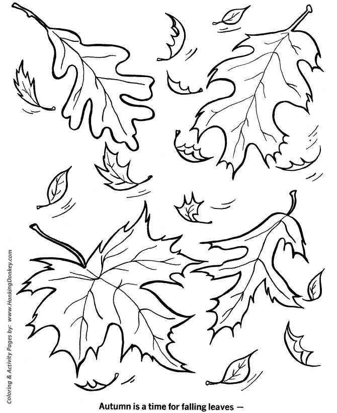 Fall Season Coloring page | Fall Leaves