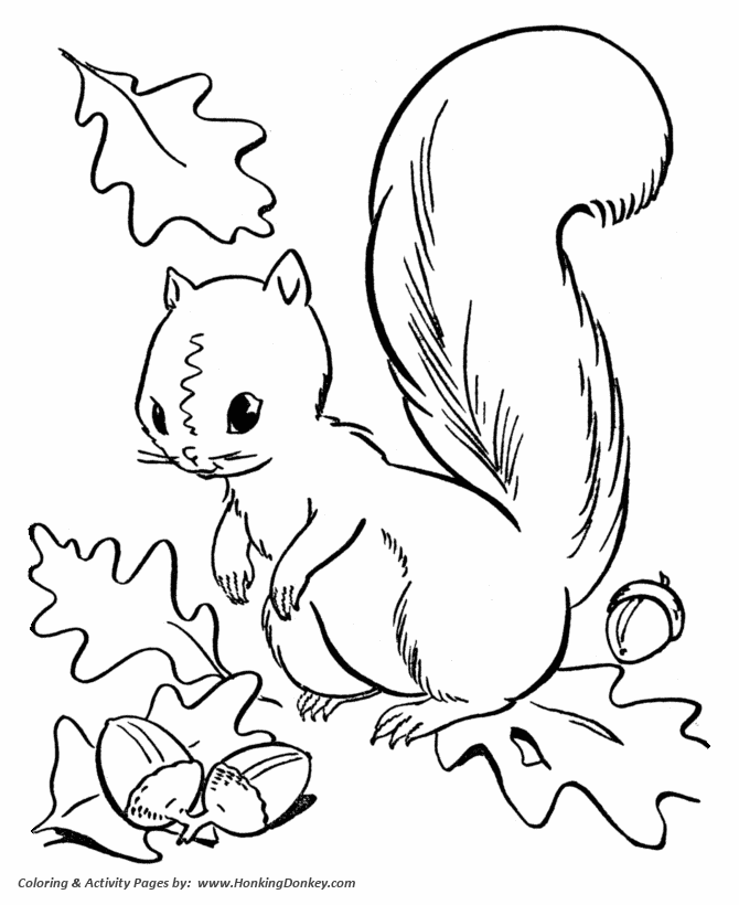 Fall Season Coloring page | Squirrel Collecting Acorns
