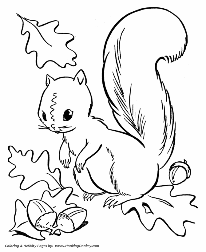 Fall Coloring pages - Squirrel Collecting Acorns Coloring Page Sheets