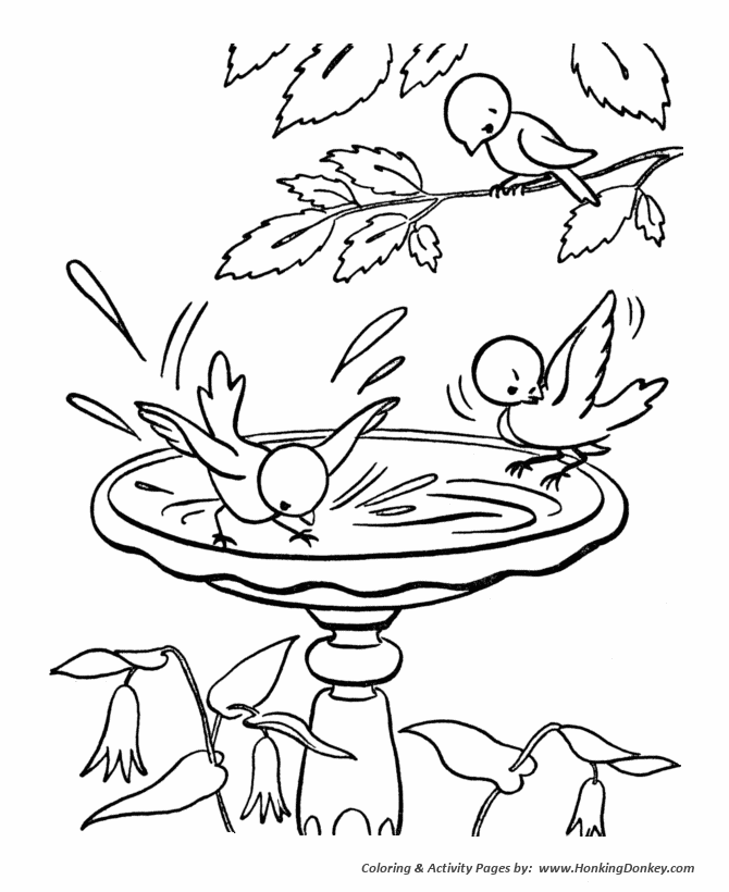 Spring Season Coloring page | Birds in the Bird Bath