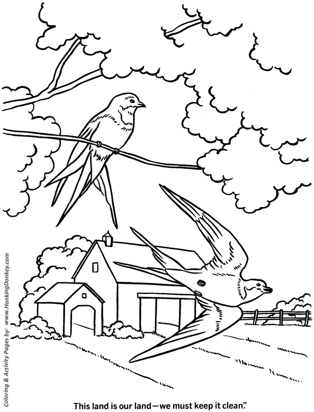 Spring Season Coloring page | Wild Birds