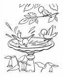 Spring Coloring Page - Birds in Spring