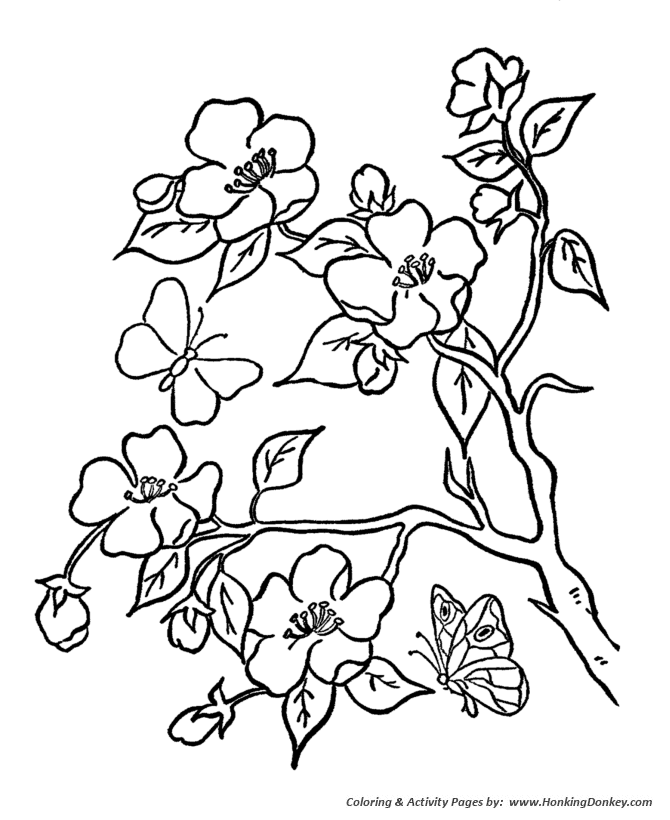 Summer Season Coloring page | Summer Trees and Flowers